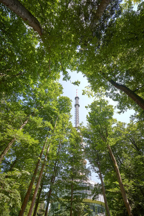 Gemeinde Sonnenwald Landkreis Freyung-Grafenau Brotjacklriegel Funkturm Sendeanlage (Dirschl Johann) Deutschland FRG